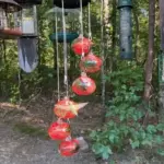 New Charming Wind Chimes Hummingbird Feeders Garden Decor