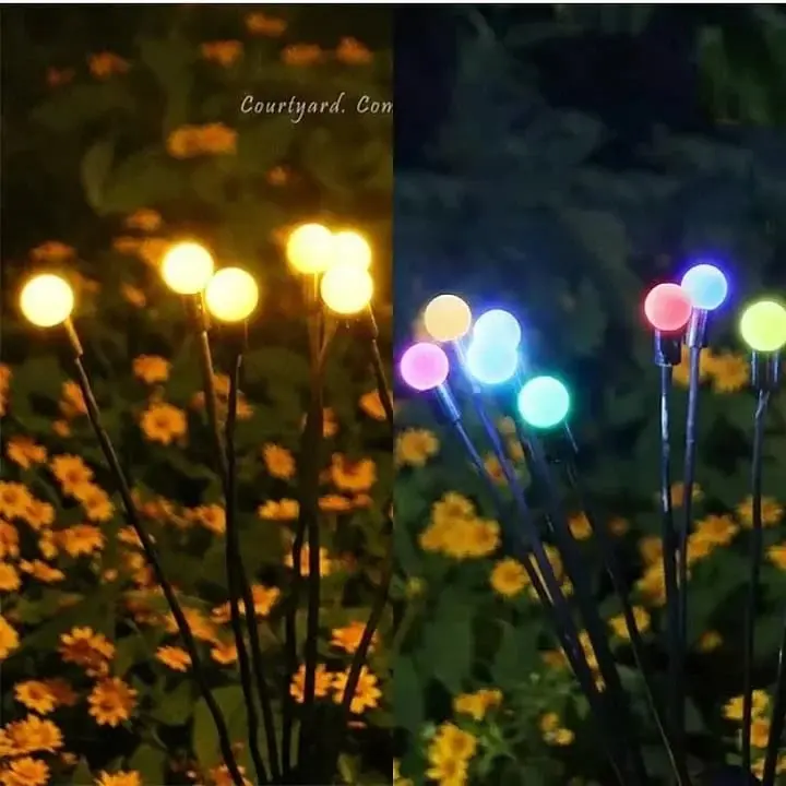 Yard with colorful lights