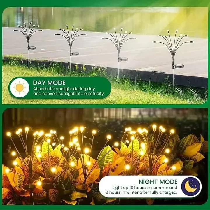 Garden with solar lights