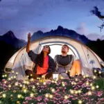 Luminous Solar-Powered Firefly Garden Decoration Light
