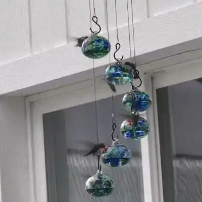 Hummingbird feeder with bonus features
