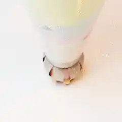 Decorative icing